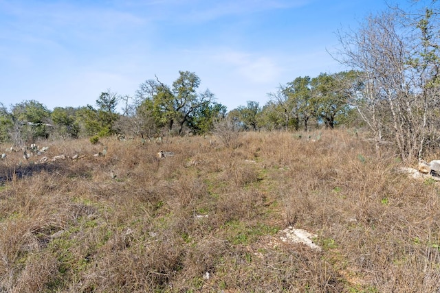 24200 Spur Trl, Spicewood, TX 78669 - photo 5