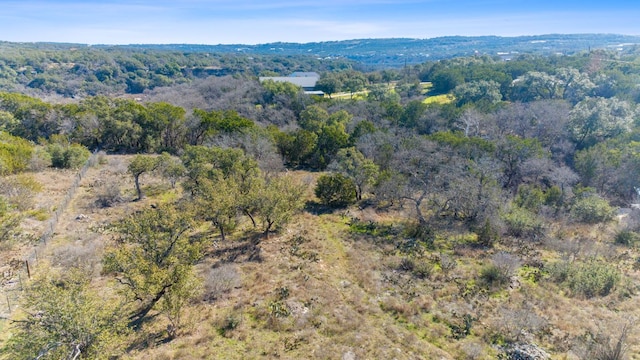 24200 Spur Trl, Spicewood, TX 78669 - photo 8
