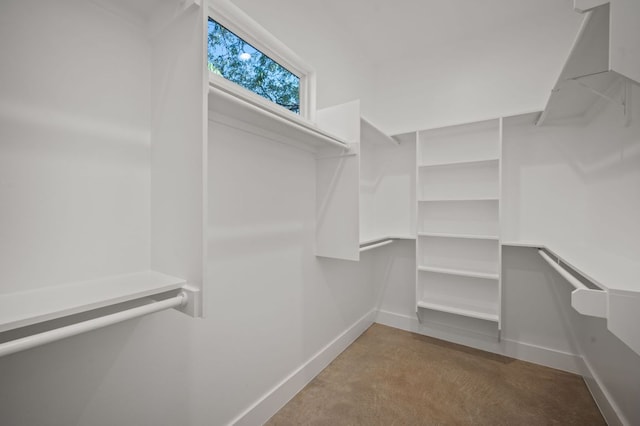 1210 Stobaugh St Unit B, Austin, TX 78757 - view of walk in closet