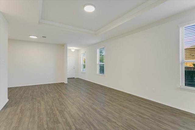 201 Cascata Way, Liberty Hill, TX 78642 - spare room featuring dark wood-style flooring, a raised ceiling, baseboards, and ornamental molding