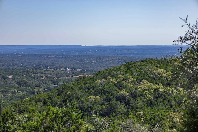 1801 Montell Rd, Wimberley, TX 78676 - photo 32