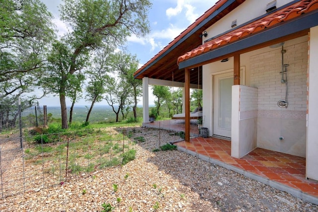 view of yard featuring a patio area