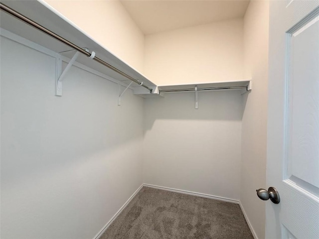 4482 Acerno St, Round Rock, TX 78665 - walk in closet with carpet