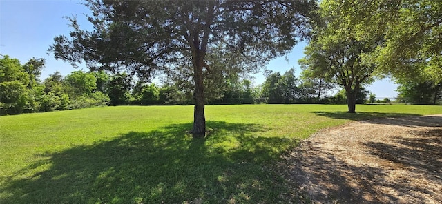 8660 Cedar Hill Rd, Brenham, TX 77833 - view of green lawn