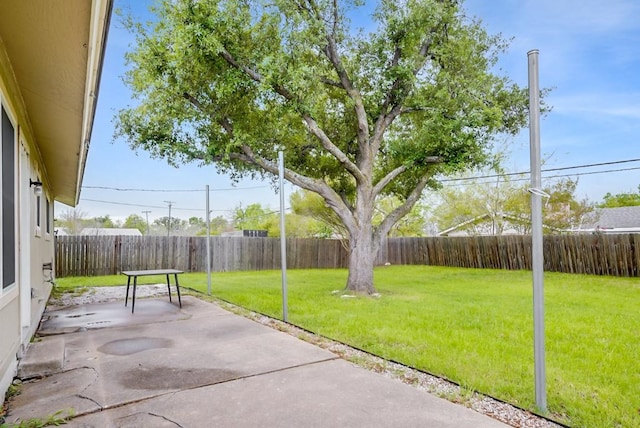 302 Garden Ct, Round Rock, TX 78664 - view of patio featuring a fenced backyard