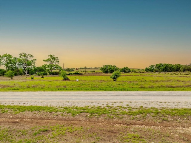 1517 Cottonwood Mesa Dr, Kempner, TX 76539 - photo 7