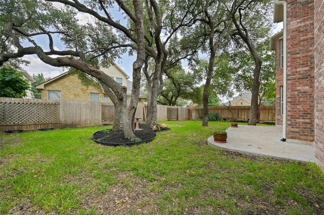 2509 Salorn Way, Round Rock, TX 78681 - fenced backyard featuring a patio