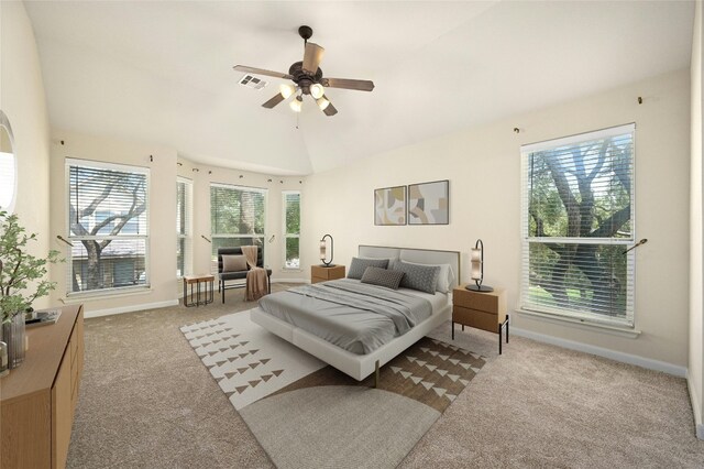 2509 Salorn Way, Round Rock, TX 78681 - carpeted bedroom with ceiling fan and lofted ceiling