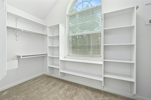 2509 Salorn Way, Round Rock, TX 78681 - spacious closet featuring carpet and vaulted ceiling