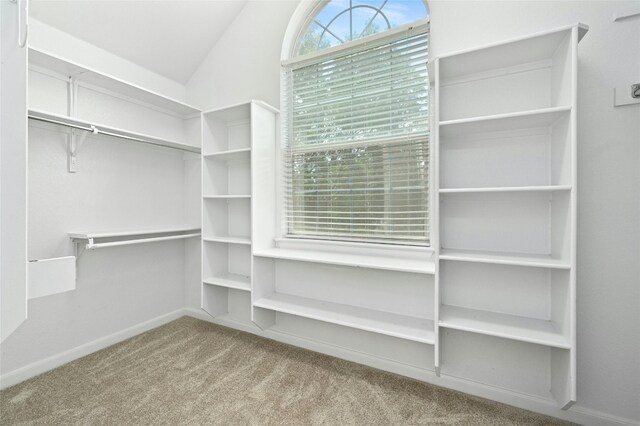 2509 Salorn Way, Round Rock, TX 78681 - walk in closet featuring carpet and lofted ceiling
