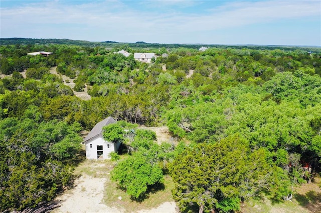 560 Longview Rd, Dripping Springs, TX 78620 - photo 11