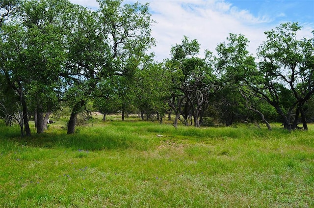 560 Longview Rd, Dripping Springs, TX 78620 - photo 33