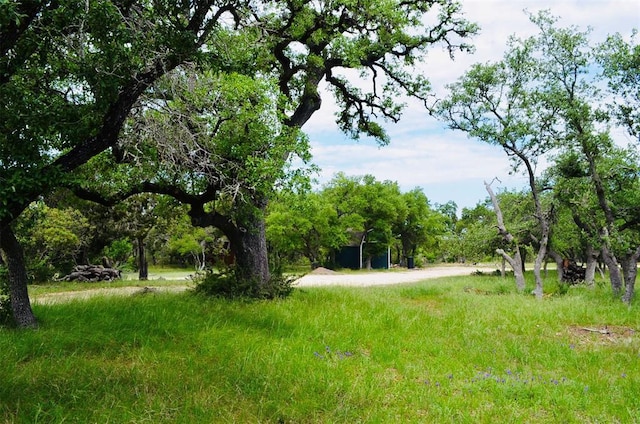 560 Longview Rd, Dripping Springs, TX 78620 - photo 26