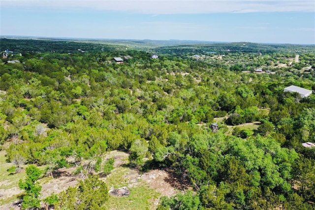 560 Longview Rd, Dripping Springs, TX 78620 - photo 25