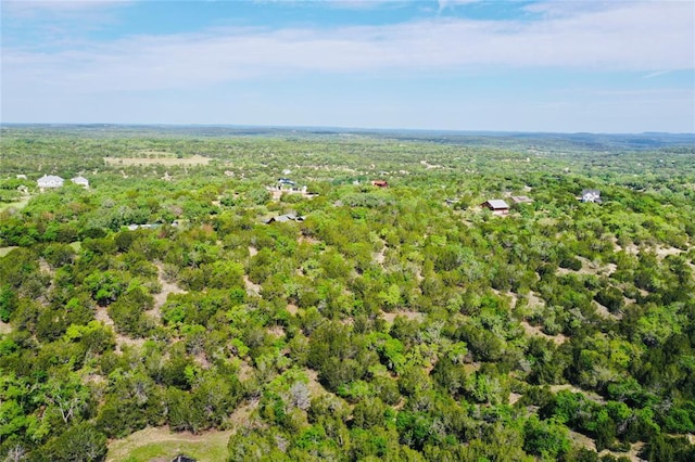 560 Longview Rd, Dripping Springs, TX 78620 - photo 24