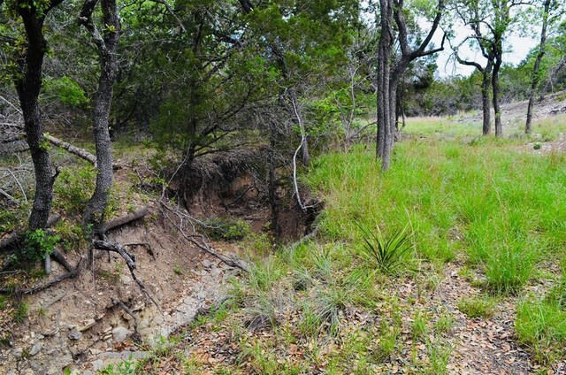 560 Longview Rd, Dripping Springs, TX 78620 - photo 28