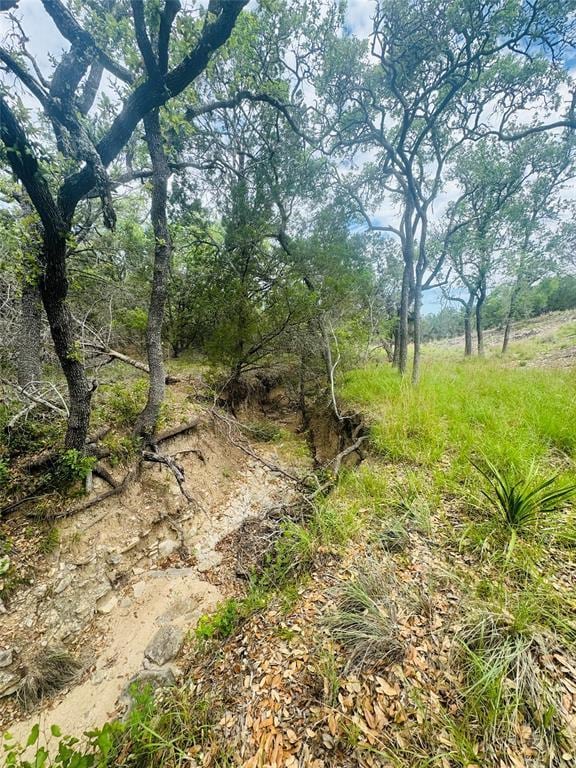 560 Longview Rd, Dripping Springs, TX 78620 - photo 31