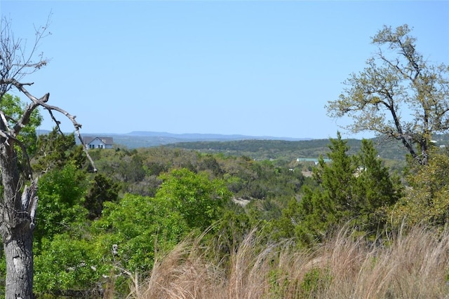 560 Longview Rd, Dripping Springs, TX 78620 - photo 27