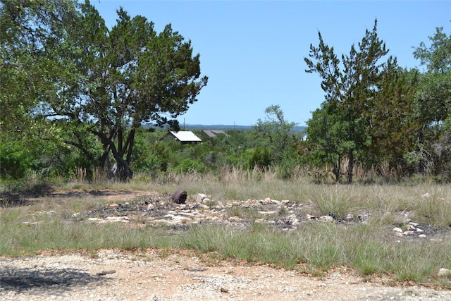 560 Longview Rd, Dripping Springs, TX 78620 - photo 32