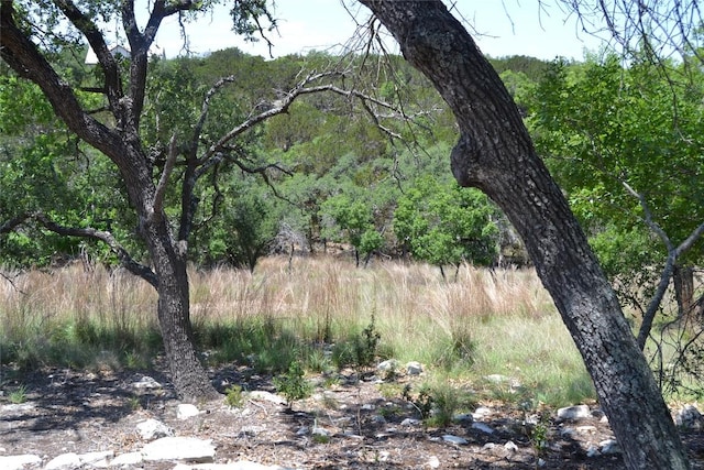 560 Longview Rd, Dripping Springs, TX 78620 - photo 34