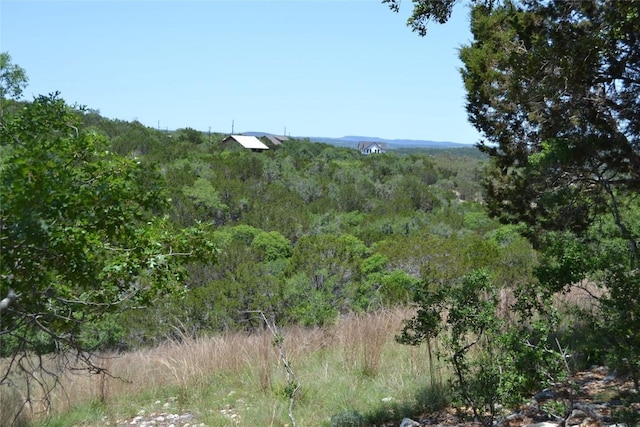 560 Longview Rd, Dripping Springs, TX 78620 - photo 35