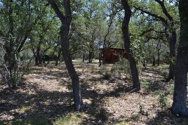 560 Longview Rd, Dripping Springs, TX 78620 - photo 36