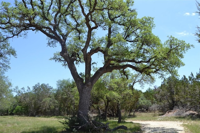 560 Longview Rd, Dripping Springs, TX 78620 - photo 37