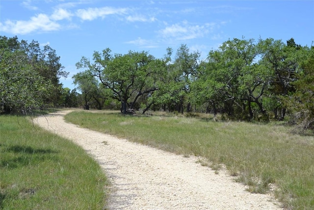560 Longview Rd, Dripping Springs, TX 78620 - photo 39