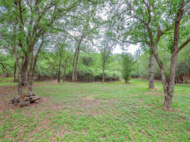 view of yard featuring a wooded view