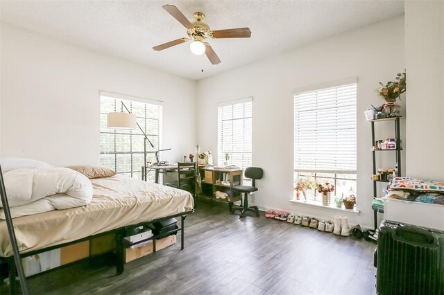 912 W 22nd St Unit 307, Austin, TX 78705 - bedroom with wood finished floors, multiple windows, ceiling fan, and a textured ceiling