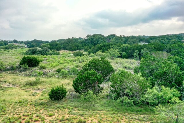 21800 Pope Dr, Lago Vista, TX 78645 - photo 4