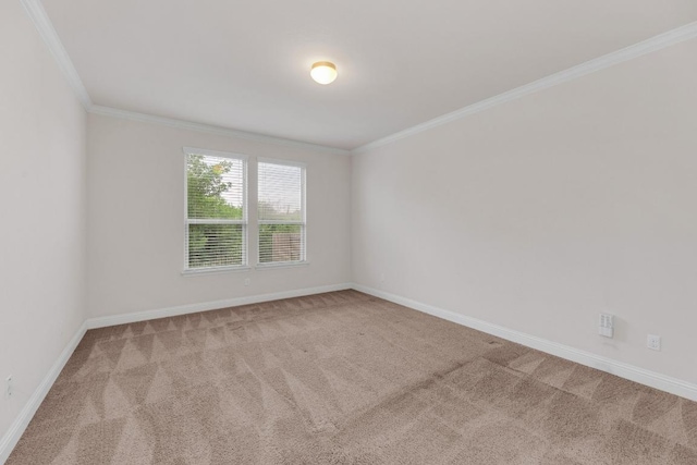 empty room with baseboards, ornamental molding, and carpet