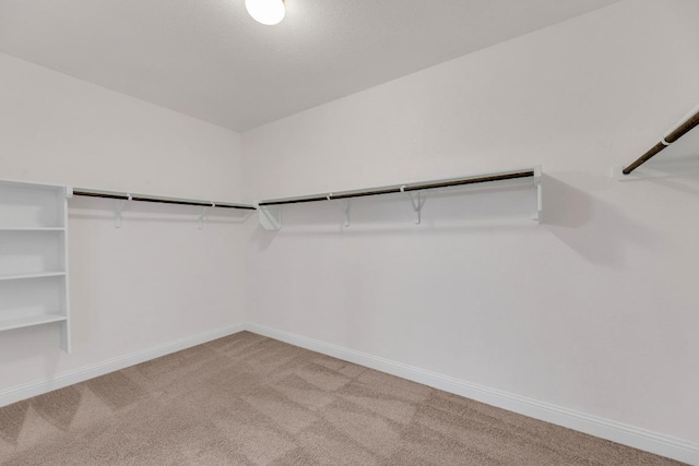 spacious closet with carpet