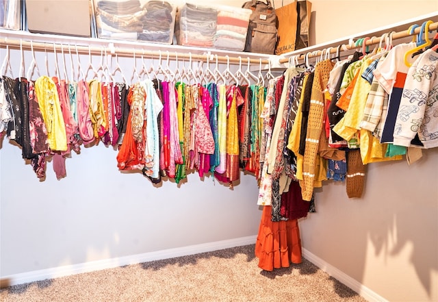 2945 Mill Run Bnd, Round Rock, TX 78665 - walk in closet featuring carpet