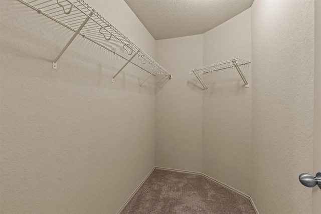 1021 Polmont Ct, Seguin, TX 78155 - spacious closet with carpet flooring