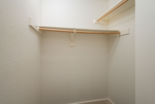 1304 Green Terrace Dr, Round Rock, TX 78664 - view of spacious closet