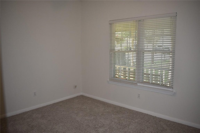 1007 N Bishop St, San Marcos, TX 78666 - empty room with carpet, healthy amount of natural light, and baseboards