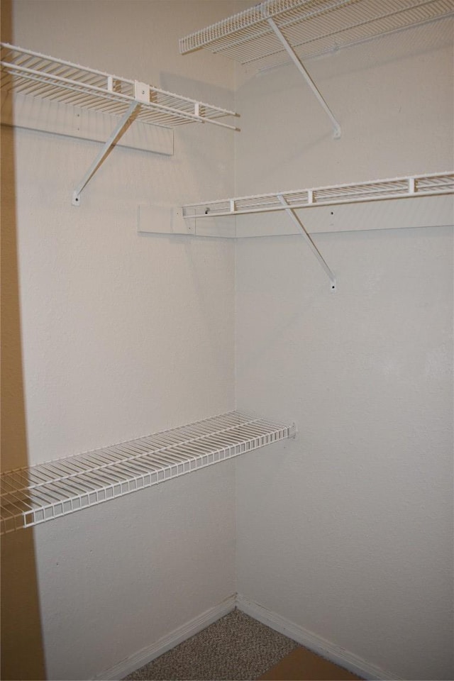 1007 N Bishop St, San Marcos, TX 78666 - view of spacious closet
