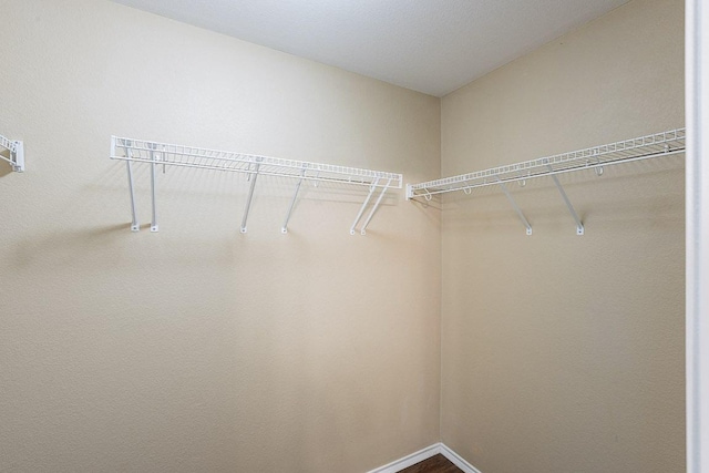 view of walk in closet