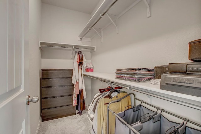 walk in closet featuring carpet floors