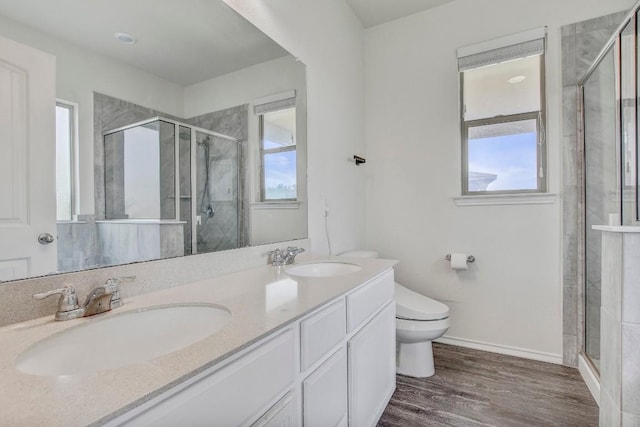 bathroom with a shower stall, a healthy amount of sunlight, and a sink