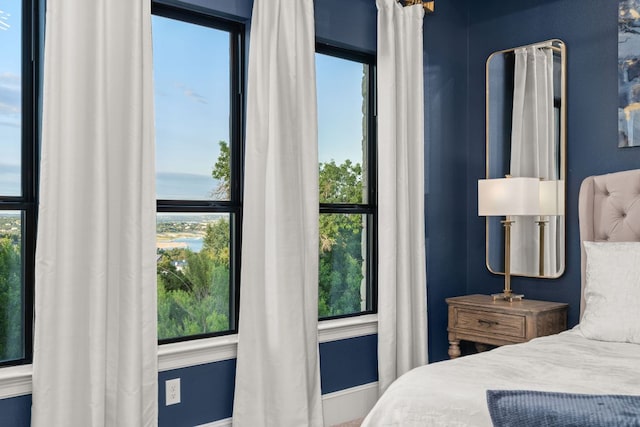 bedroom with a water view, baseboards, and multiple windows