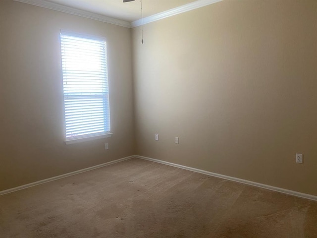 721 Independence Creek Ln, Georgetown, TX 78633 - unfurnished room with light colored carpet, ornamental molding, plenty of natural light, and baseboards