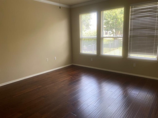 721 Independence Creek Ln, Georgetown, TX 78633 - spare room with baseboards, a healthy amount of sunlight, and crown molding