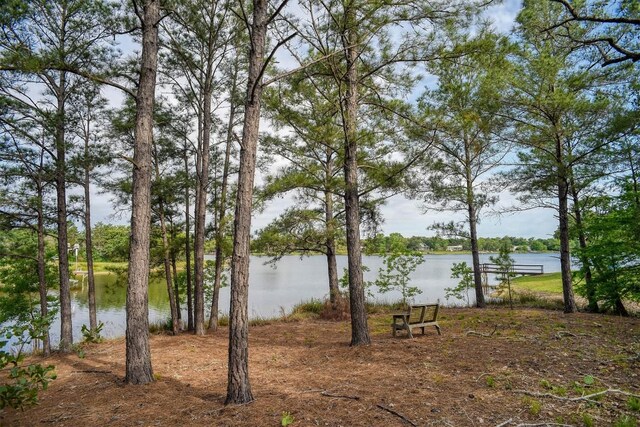106 Pueblo, Smithville, TX 78957 - photo 3