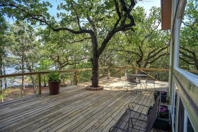106 Pueblo, Smithville, TX 78957 - photo 9