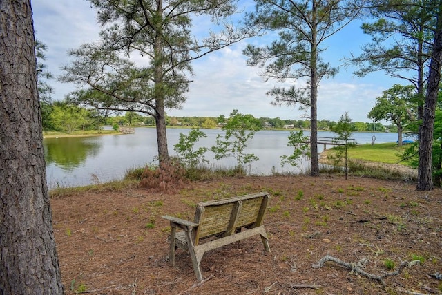 106 Pueblo, Smithville, TX 78957 - photo 11