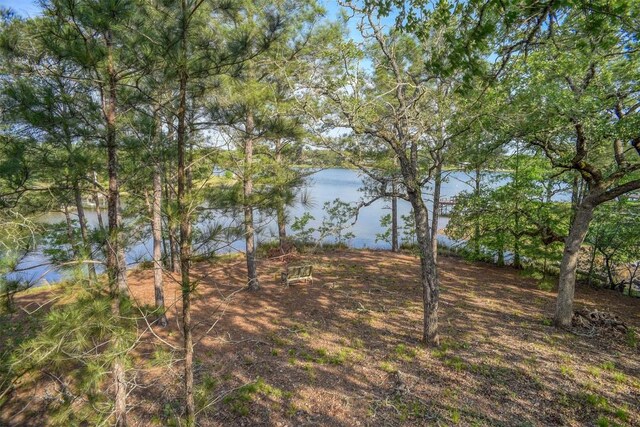 106 Pueblo, Smithville, TX 78957 - photo 12