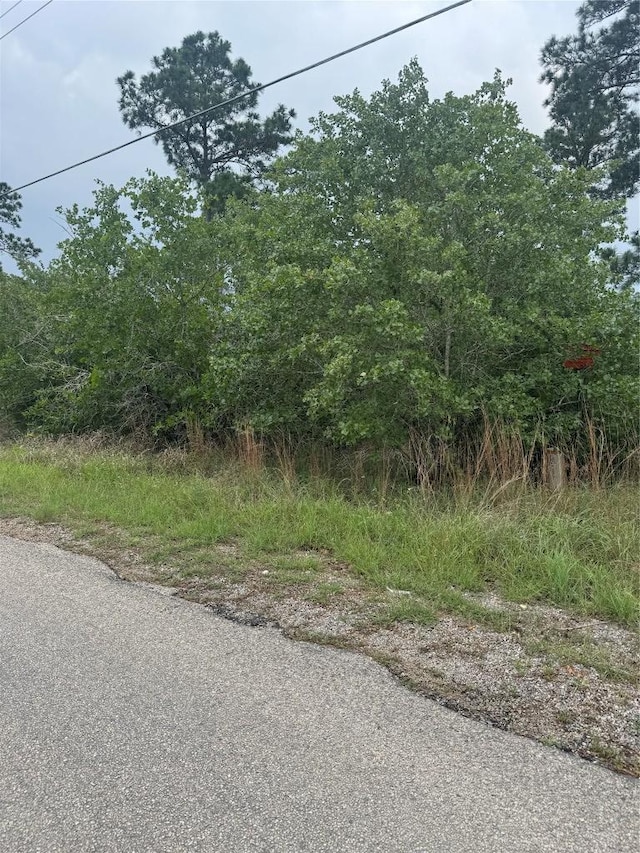 LOT1613 Kaanapali Ln, Bastrop, TX 78602