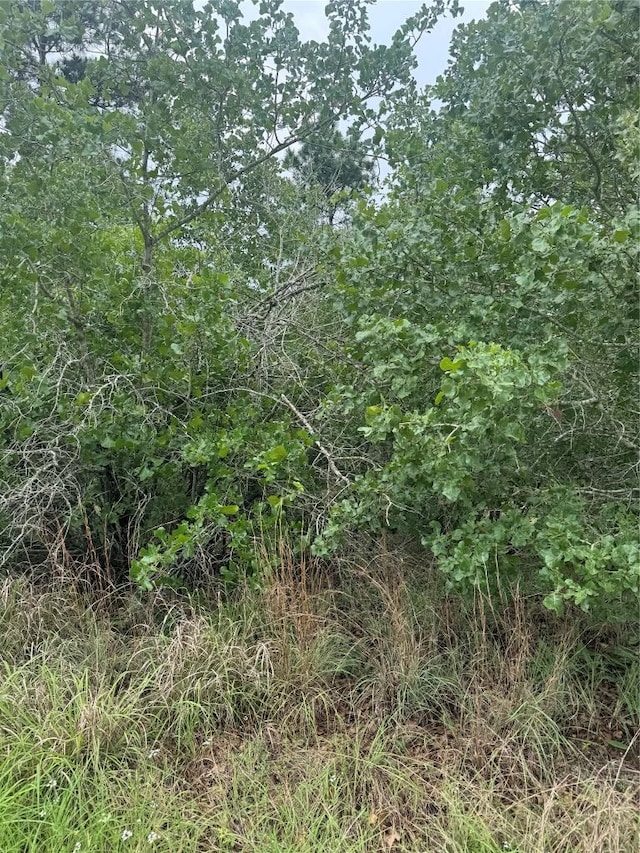 LOT1613 Kaanapali Ln, Bastrop, TX 78602